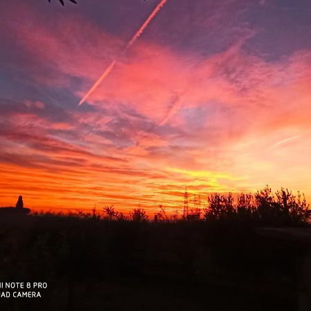 Le Zampolle B & B Colà Εξωτερικό φωτογραφία