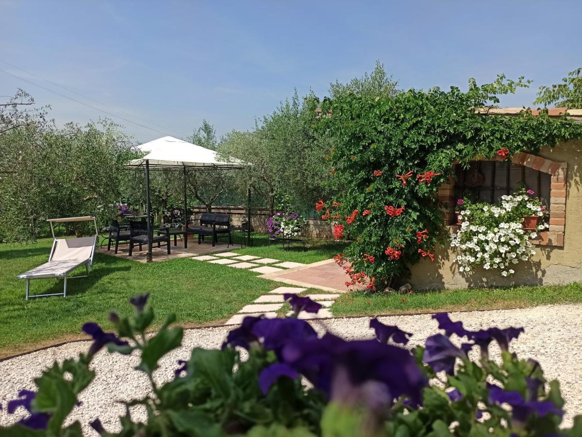 Le Zampolle B & B Colà Εξωτερικό φωτογραφία